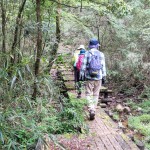 湿地帯の木道を歩く