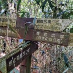 数少ない登山道標識